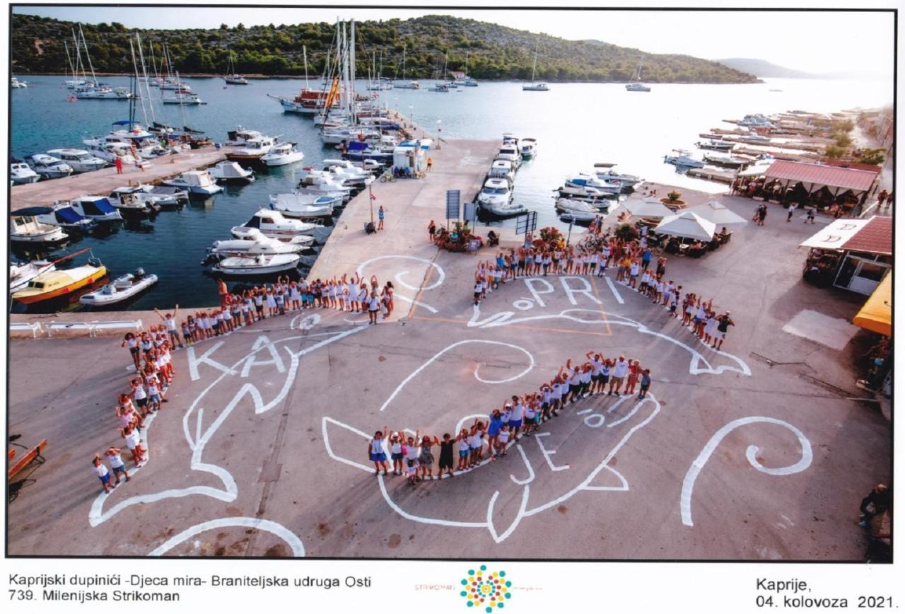 Apartmani Vukovic Kaprije Bagian luar foto